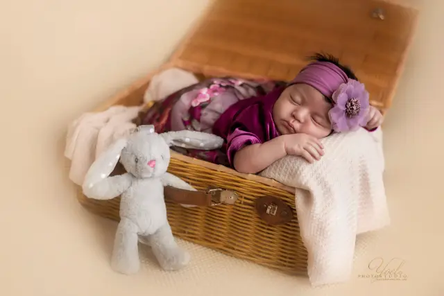 Newborns — photo 2