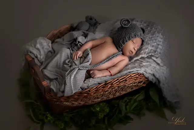 Newborns — photo 3