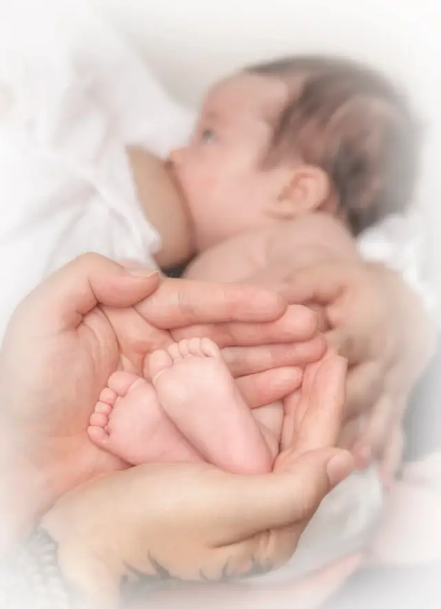Newborns — photo 12