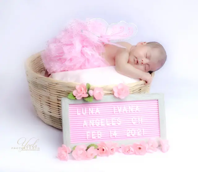 Newborns — photo 20