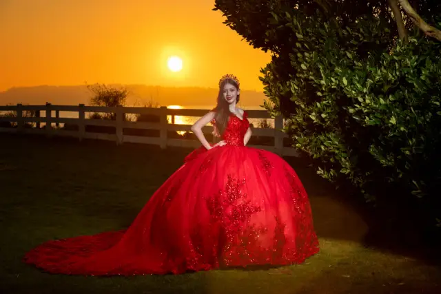 Quinceañera — photo 18