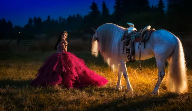 Quinceañera — photo 27