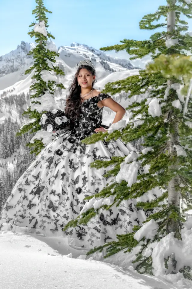 Quinceañera — photo 51